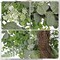 20in Eucalyptus Door Wreath Spring Greenery Wreath Artificial Hanging Foliage Wreath for Front Door Outside All Season Window Mantle Farmhouse Home Decor